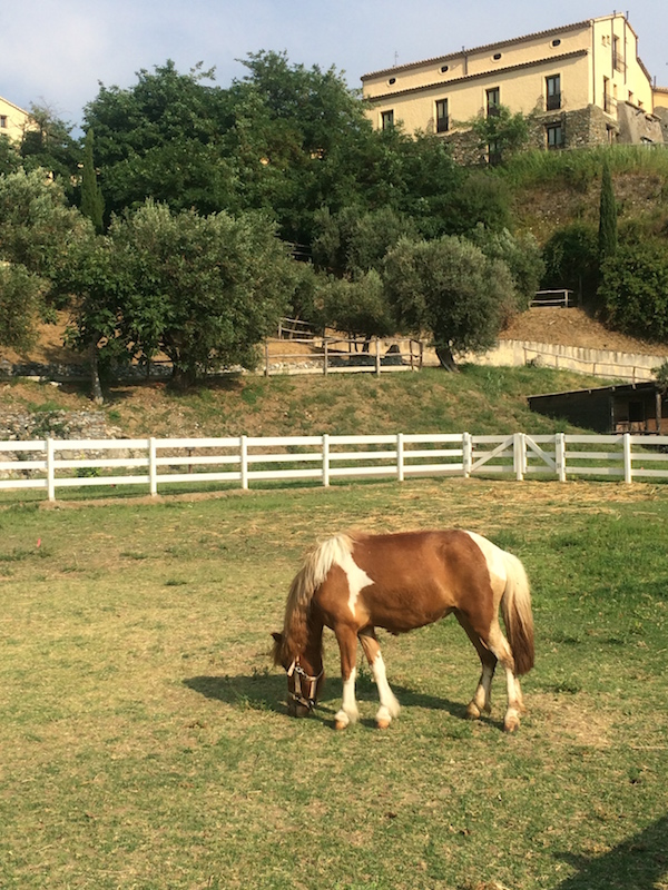 Calabria mare e campagna family friendly Borgo della marinella pony