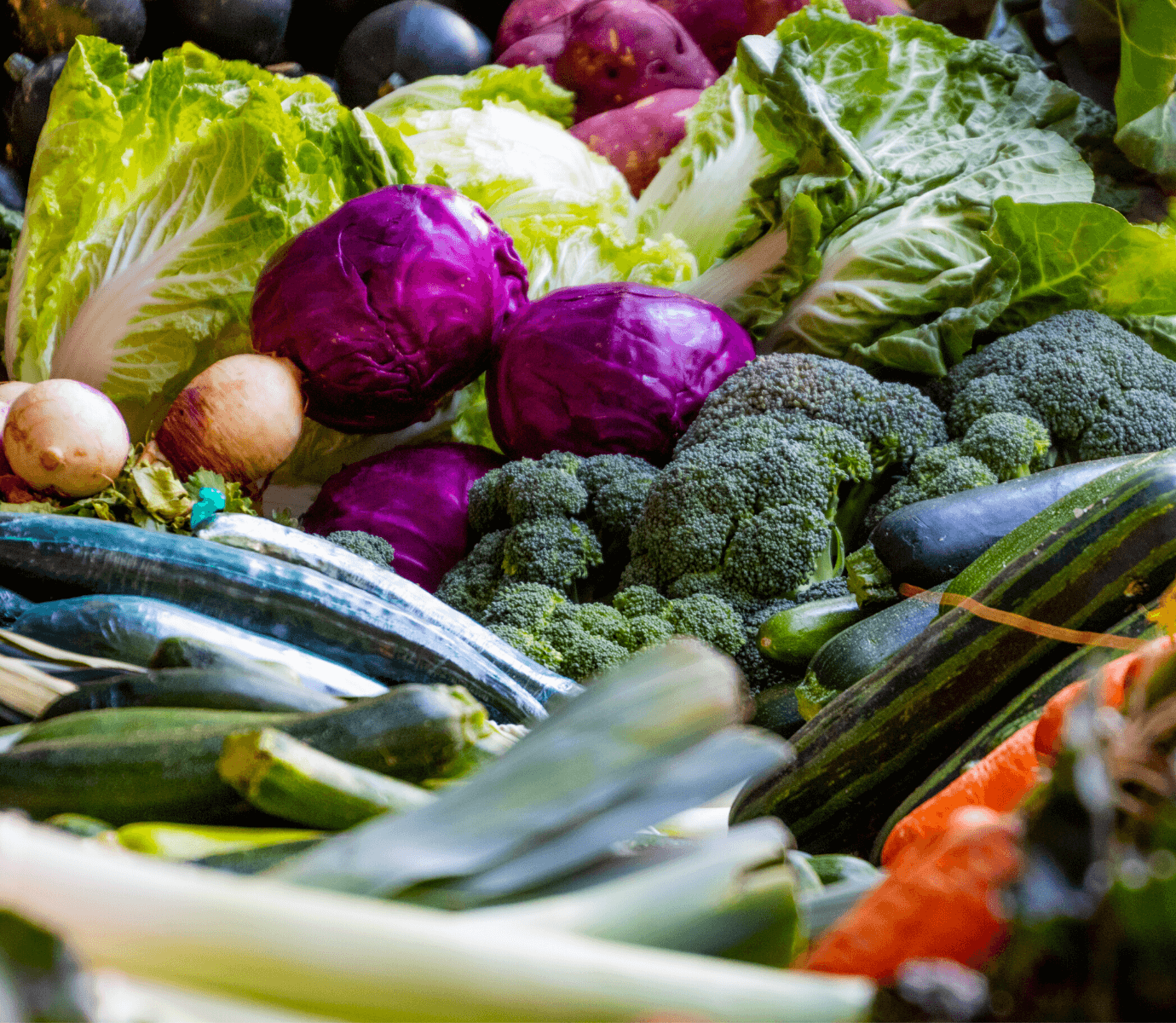 idee per rifiorire verdura a domicilio