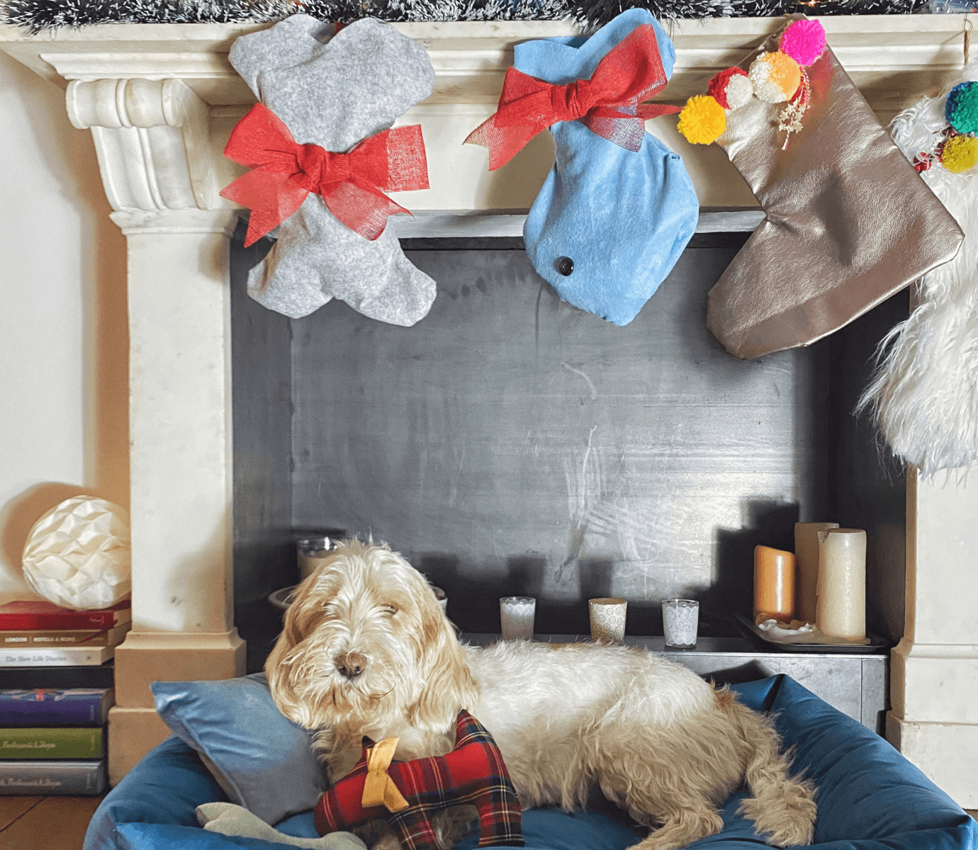 Calze di Natale per cane e gatto DIY